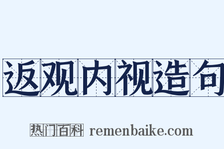 返观内视造句是什么意思的图片